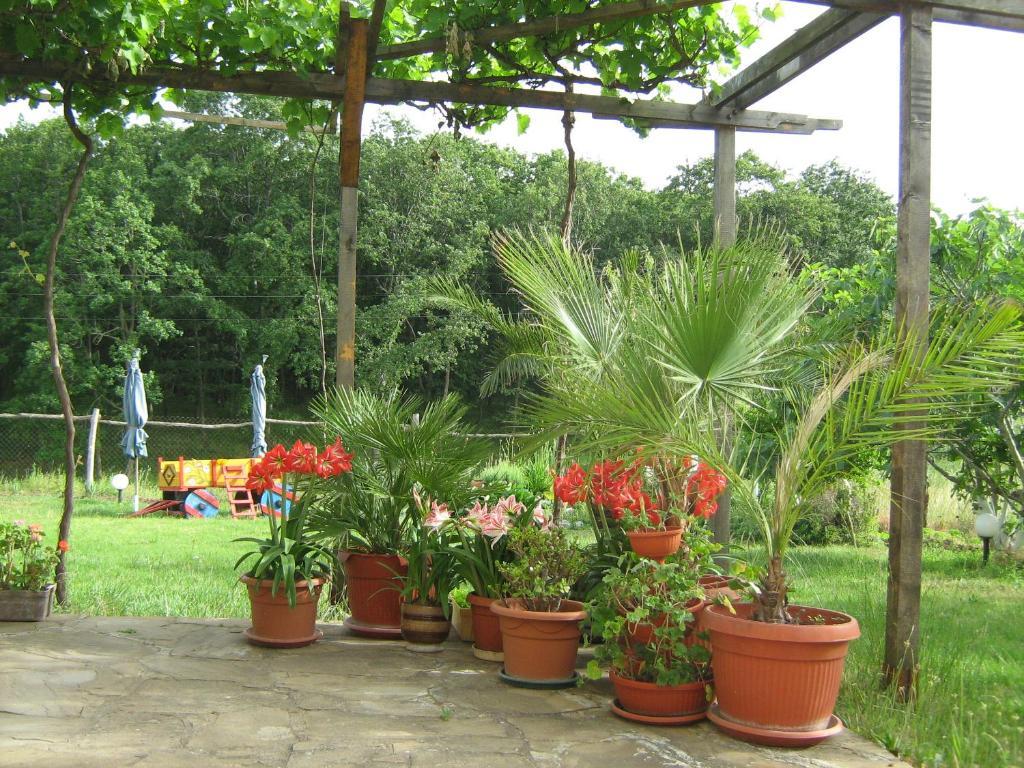 Villa Victoria Sinemoretz Exterior photo